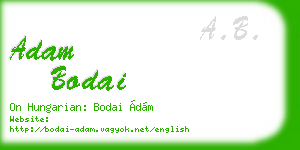 adam bodai business card