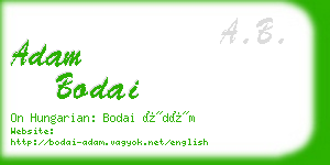 adam bodai business card